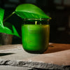 Citronella + Eucalyptus Candle
