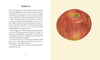 Apples
