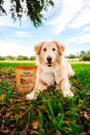 Pumpkin Brew Dog Biscuits