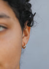 Gold Hoop - Double - Earrings