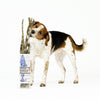 Cod Skins - 4.7oz Tube - Dog & Cat Treats