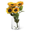 Large Wide Optic Jar Vase-8.5"H