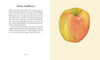 Apples