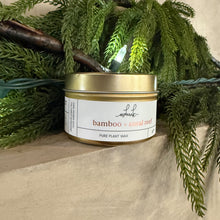  Bamboo + Coral Reef Candle