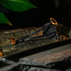 Dry Goods - Assorted Candle Care Tools