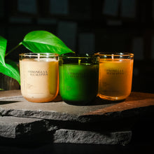  Citronella + Eucalyptus Candle
