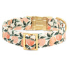Peaches and Cream Dog Collar